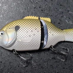 Baitsanity Explorer Gill 6 Hard Body