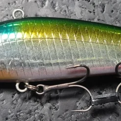 Obass Live Lipless Mola Mola Doryuu Silent