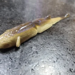 YG.Iabo Creatures Witch Lana