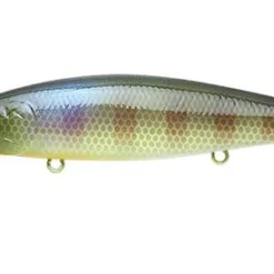 Lucky Craft Pointer 100SP H3