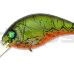 Deps Korrigan Magnum