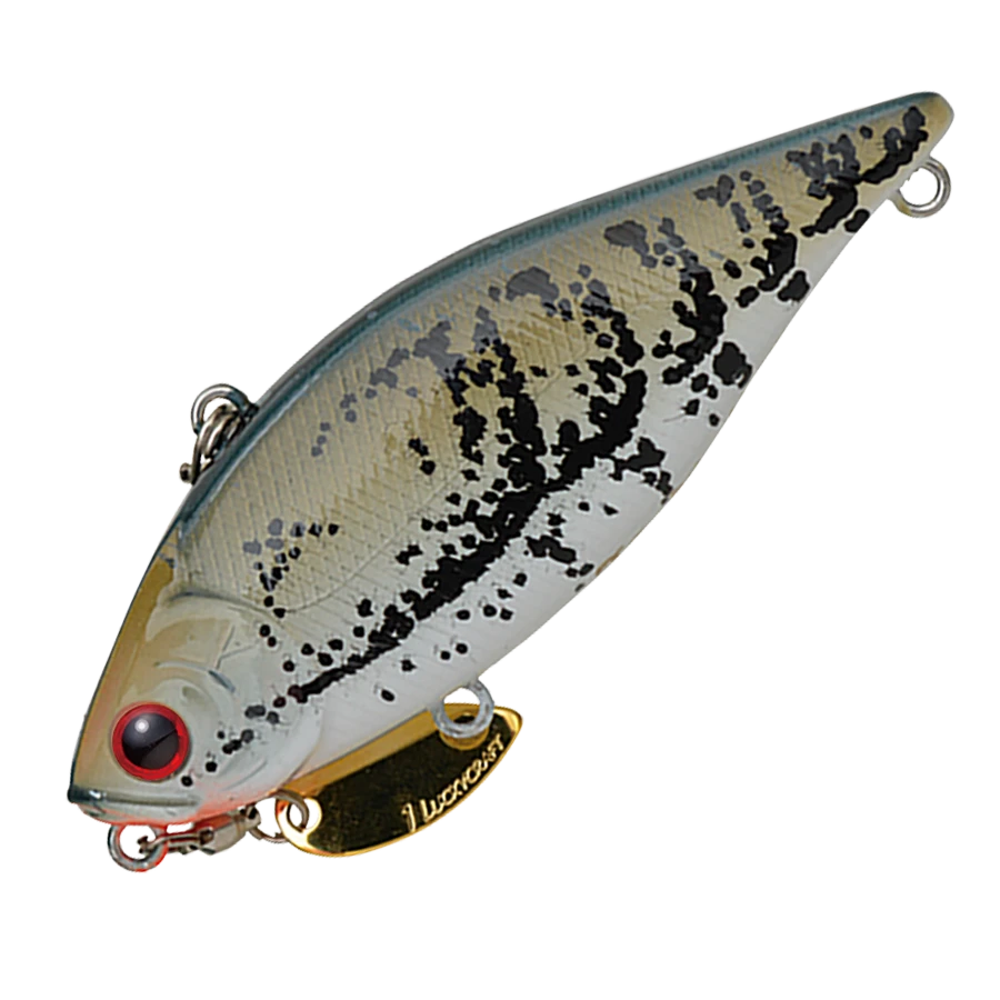 Valley Hill LV 500GP TG 10 Valley Hill LV 500GP TG