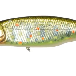 Megabass Great Hunting 50 Flatside 37 Megabass Great Hunting 50 Flatside