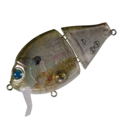 Valley Hill Boogie Back Hard Body