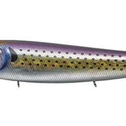 Evergreen International Amazon 14 Evergreen International Amazon