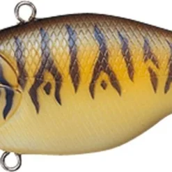 Evergreen International Lipless Buzzer Beater TG