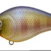 Lucky Craft Shallow Diving (0-7ft.) Fat CB BDS 2