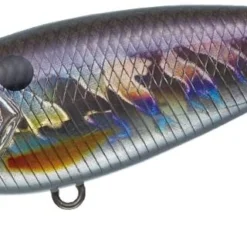 Evergreen International Belcanto Shallow Diving (0-7ft.)