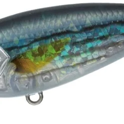 Evergreen International Belcanto Shallow Diving (0-7ft.)