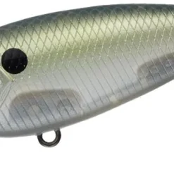 Evergreen International Belcanto Shallow Diving (0-7ft.)