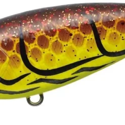 Evergreen International Belcanto Shallow Diving (0-7ft.)