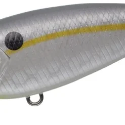 Evergreen International Belcanto Shallow Diving (0-7ft.)