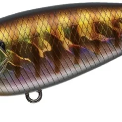 Evergreen International Belcanto Shallow Diving (0-7ft.)