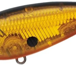 Evergreen International Belcanto Shallow Diving (0-7ft.)