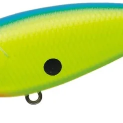 Evergreen International Belcanto Shallow Diving (0-7ft.)