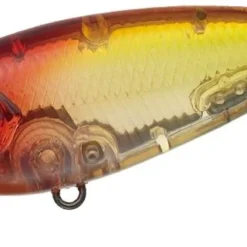 Evergreen International Belcanto Shallow Diving (0-7ft.)