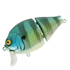 Valley Hill Boogie Back Hard Body