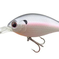 Evergreen USA CR-8 Crankbaits Medium Diving (8-14ft.)