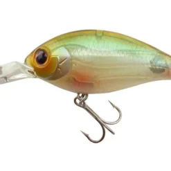 Evergreen USA CR-8 Crankbaits Medium Diving (8-14ft.)