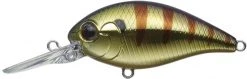 Evergreen USA CR-8 Crankbaits Medium Diving (8-14ft.)