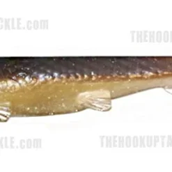 3:16 Lure Company Rising Son 39 3:16 Lure Company Rising Son