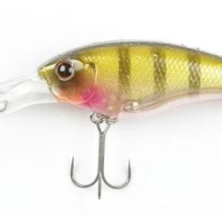 ISM Closer 55F Shallow Diving (0-7ft.)