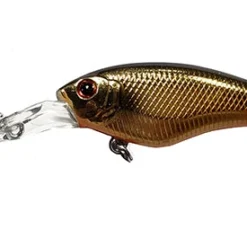 ISM Closer 55F Shallow Diving (0-7ft.)