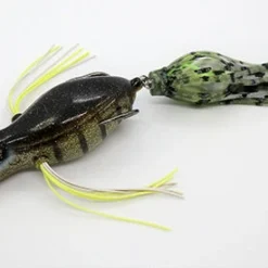 Teckel Duckroaker Frog Frogs