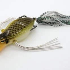 Teckel Duckroaker Frog Frogs