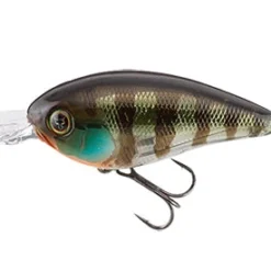 Jackall Deep Diving (15 Ft.+) Digle 5 Plus