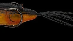 Nories Chibi Ebigaeru