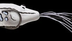 Nories Chibi Ebigaeru