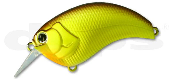 Deps Evoke 1.2 5 Deps Evoke 1.2