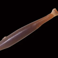 Gan Craft Bariki Shad Paddletail Swimbaits