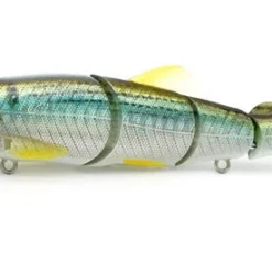 Little Jack Hard Body Gorgon 125 Custom