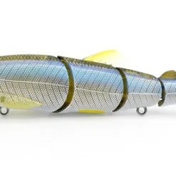 Little Jack Hard Body Gorgon 125 Custom