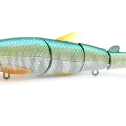 Little Jack Hard Body Gorgon 125 Custom