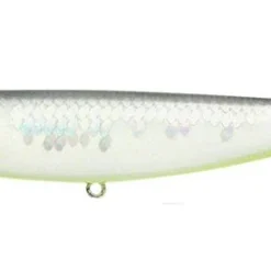 Lucky Craft Walking Sammy