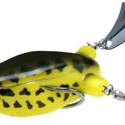 Teckel Frogs Honker Frog