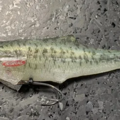 Signal Japan Devil Swimmer Paddletail Swimbaits