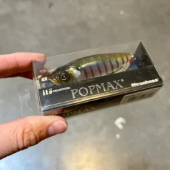 Whiplash Thunderbuck Ram Jerkbaits