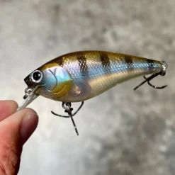 Lucky Craft Shallow Diving (0-7ft.) Fat CB BDS Magic 2.2 7 Lucky Craft Shallow Diving (0-7ft.) Fat CB BDS Magic 2.2