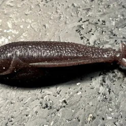 Laysam Creatures Namekuji Worm