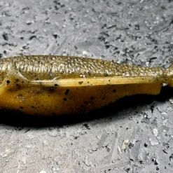 Laysam Creatures Namekuji Worm