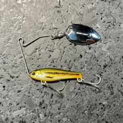 Lucky Craft Area's Bait Bass