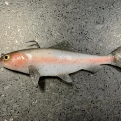 JSJ Bait Co. 9 Inch Trout Recoil 11 JSJ Bait Co. 9 Inch Trout Recoil