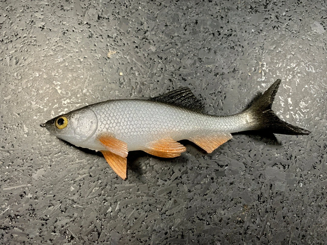 JSJ Bait Co. Hitch Six Recoil Weedless Swimbait 3 JSJ Bait Co. Hitch Six Recoil Weedless Swimbait