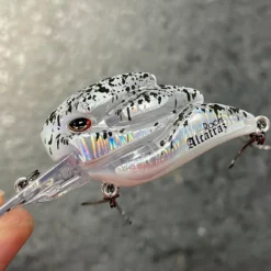 +Rooms Alcatraz Shallow Diving (0-7ft.)