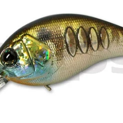 Deps Korrigan Magnum