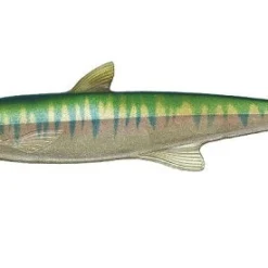 Evergreen International Last Ace 168 13 Evergreen International Last Ace 168